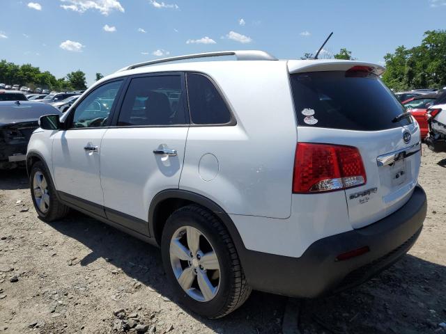 2013 Kia Sorento Ex VIN: 5XYKU3A6XDG376822 Lot: 57687384