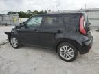 KIA SOUL + photo