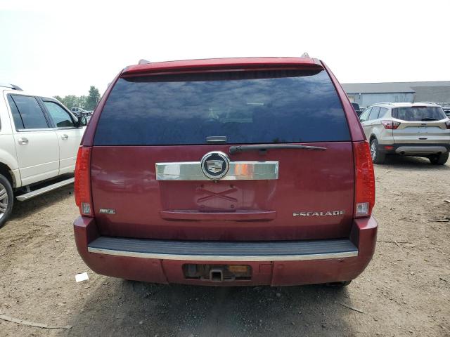 2010 Cadillac Escalade VIN: 1GYUKAEF1AR110982 Lot: 59946614