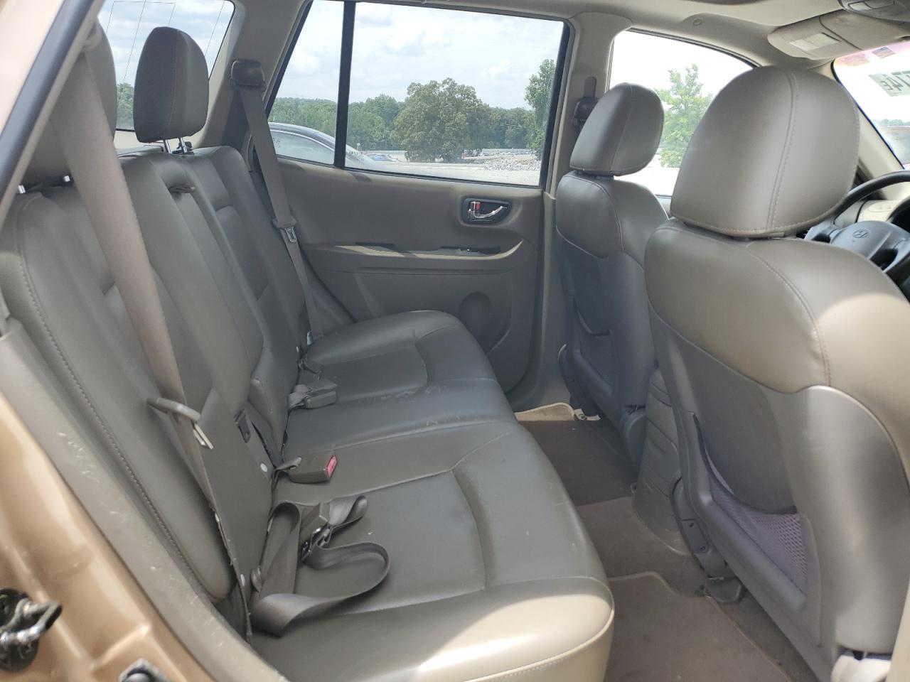 KM8SC13D32U329738 2002 Hyundai Santa Fe Gls