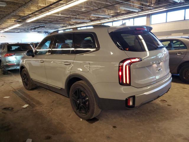 2023 Kia Telluride Sx VIN: 5XYP5DGC5PG399046 Lot: 57629404