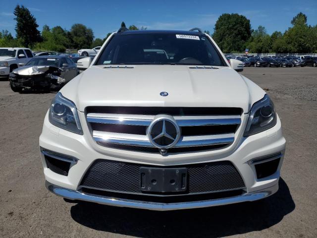 2015 Mercedes-Benz Gl 550 4Matic VIN: 4JGDF7DE5FA446769 Lot: 56973334