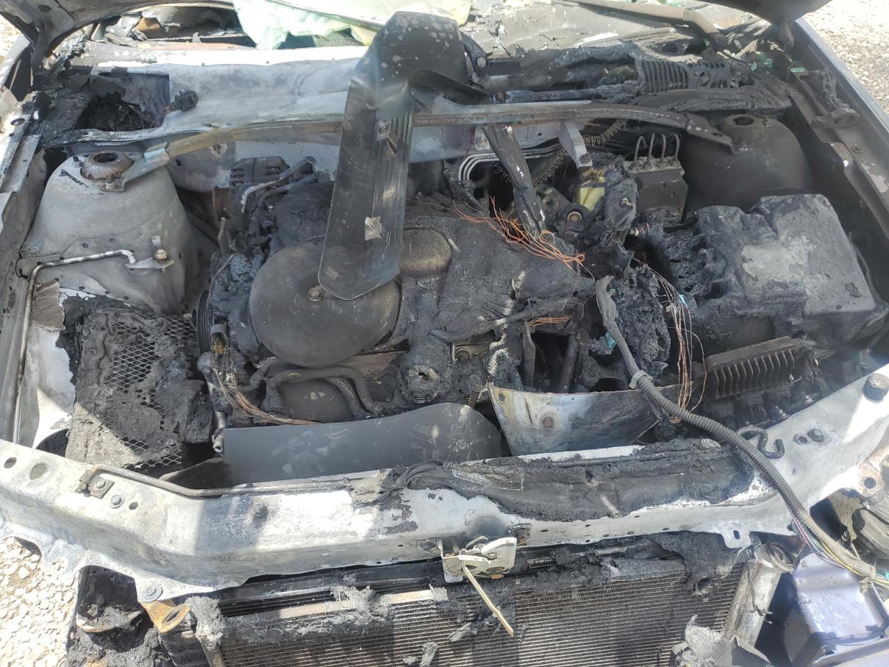 1G1ZW53146F287719 2006 Chevrolet Malibu Ss