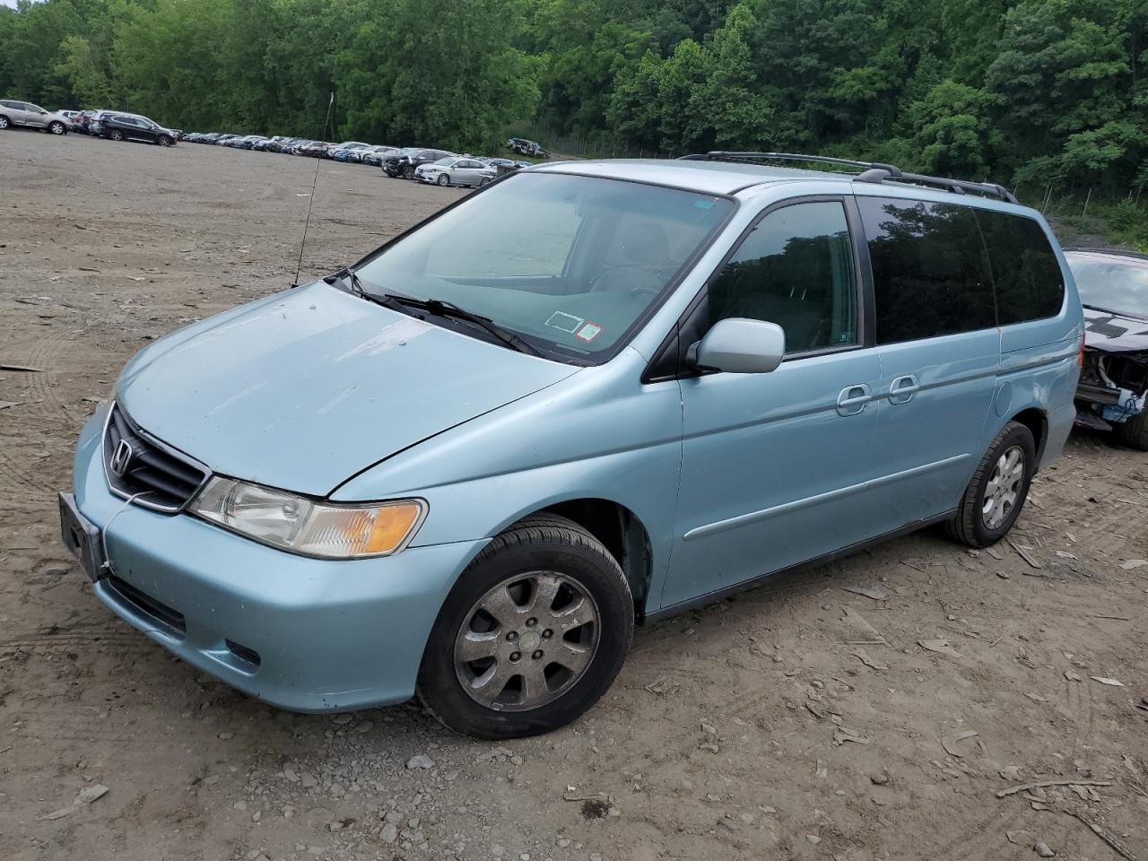 5FNRL18984B064950 2004 Honda Odyssey Exl