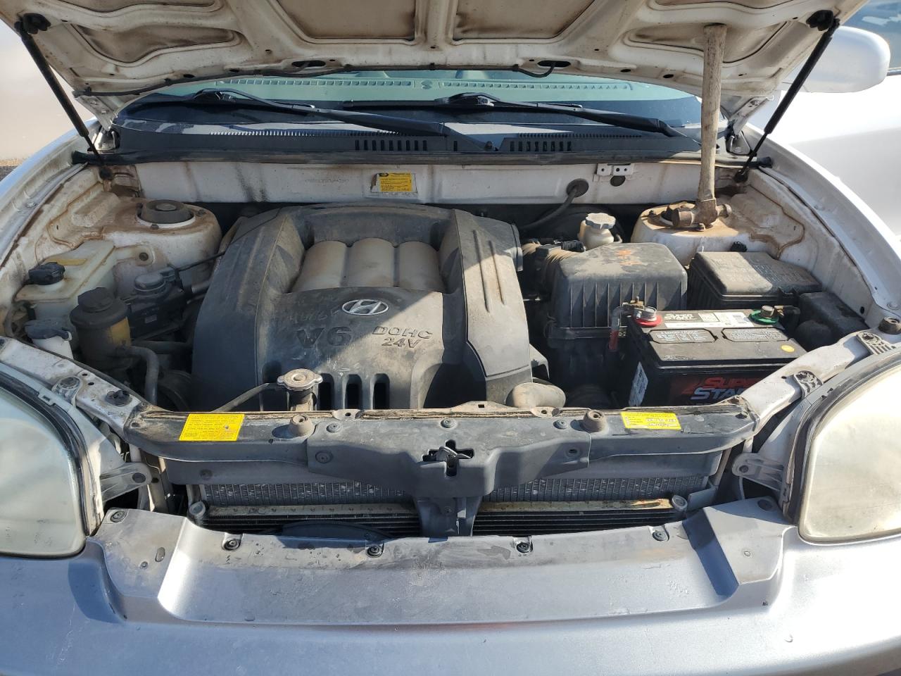 KM8SC13D23U442047 2003 Hyundai Santa Fe Gls