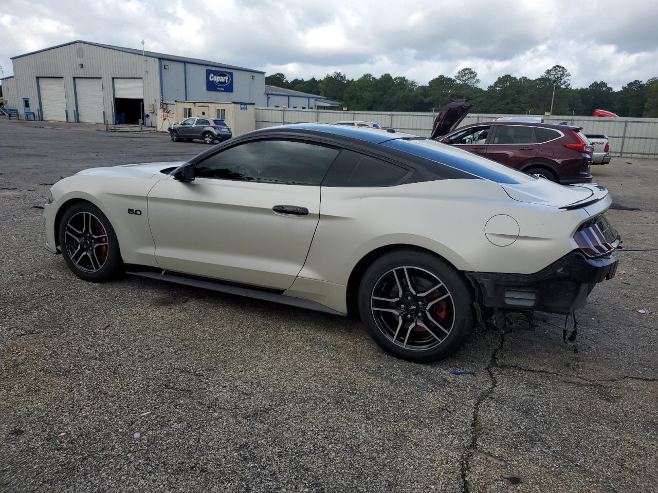 1FA6P8CF3K5124456 2019 Ford Mustang Gt