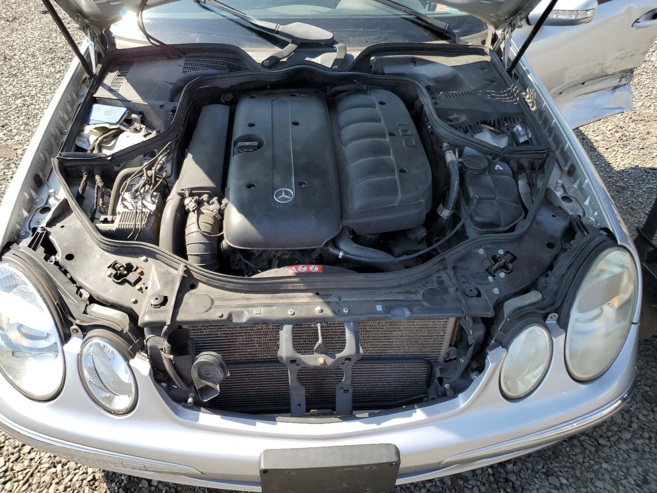 WDBUF26J66A949436 2006 Mercedes-Benz E 320 Cdi