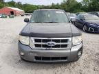 FORD ESCAPE XLT photo