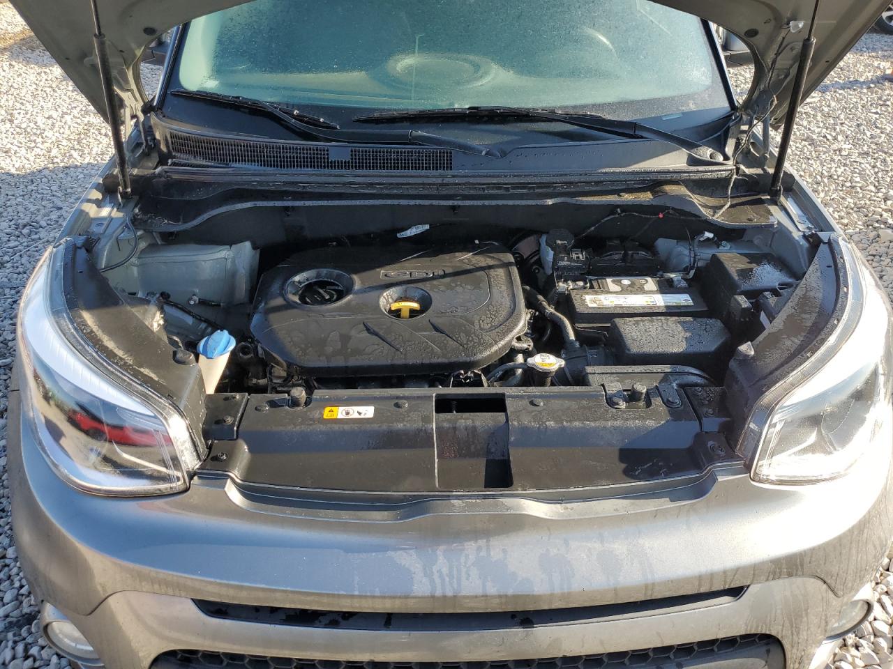 KNDJP3A59K7002559 2019 Kia Soul +