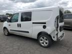 RAM PROMASTER photo