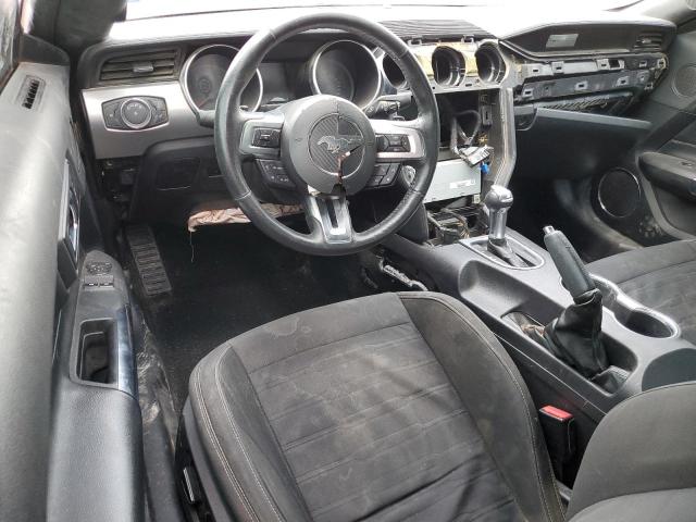 2019 Ford Mustang VIN: 1FA6P8TH8K5178272 Lot: 60895424