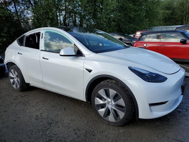 2023 Tesla Model Y VIN: 7SAYGDEE1PF760818 Lot: 57517124