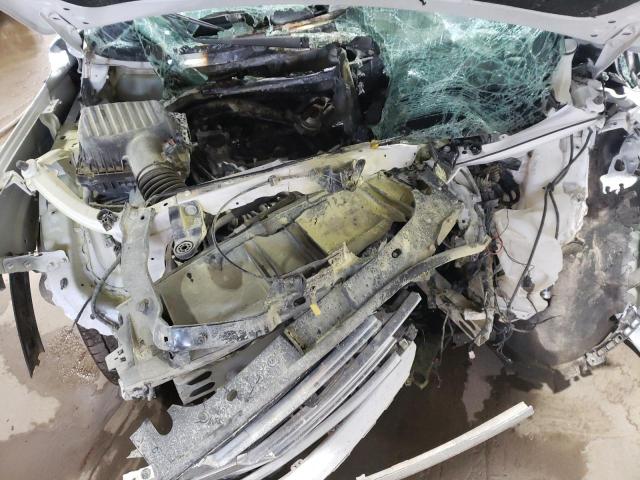 2019 GMC TERRAIN SL 3GKALPEV8KL160503