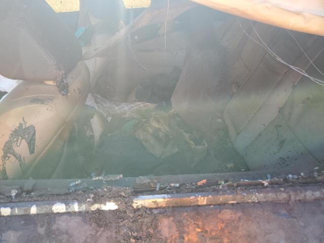 2017 Infiniti Q50 Premium VIN: JN1EV7APXHM731313 Lot: 57958554