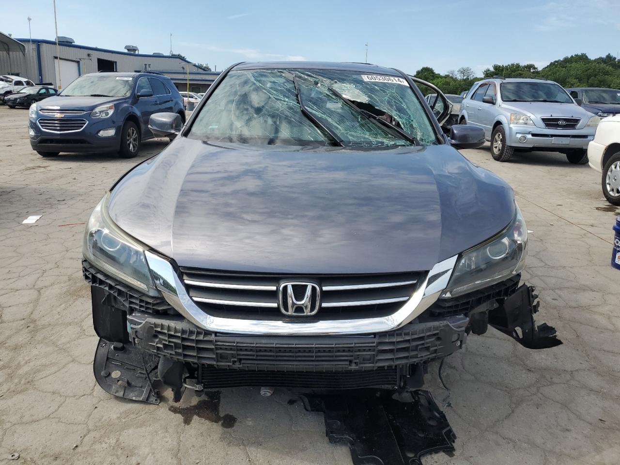 Lot #2667194001 2014 HONDA ACCORD EX