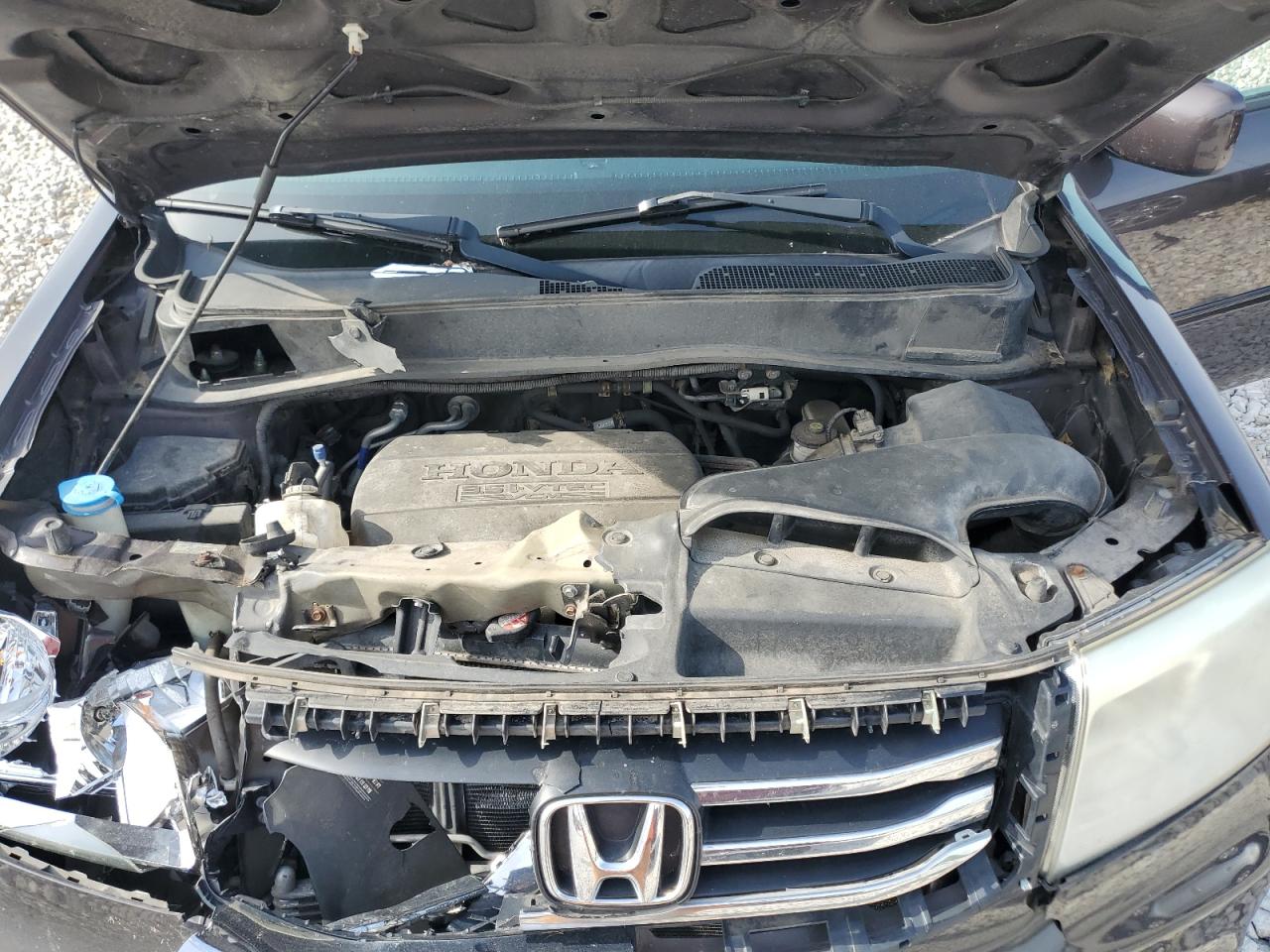 5FNYF4H59DB018450 2013 Honda Pilot Exl