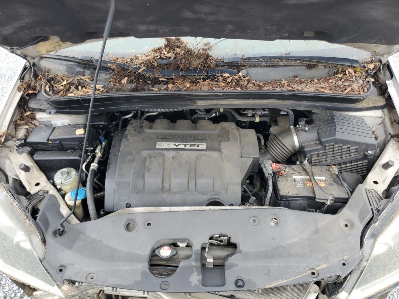 5FNRL38417B013889 2007 Honda Odyssey Ex