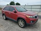 KIA SORENTO EX photo