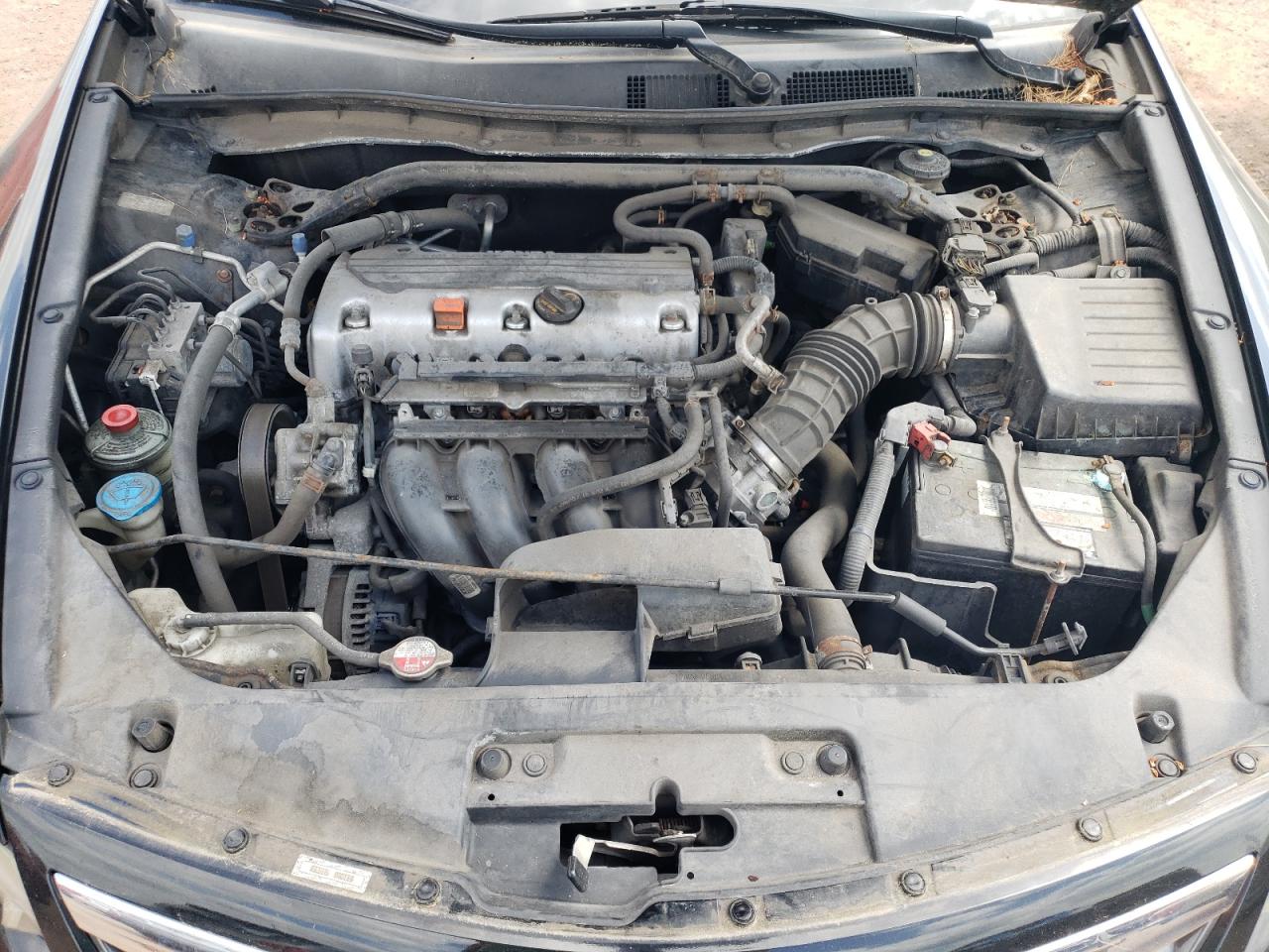 1HGCS1B31BA011446 2011 Honda Accord Lx-S