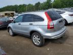 HONDA CR-V SE photo