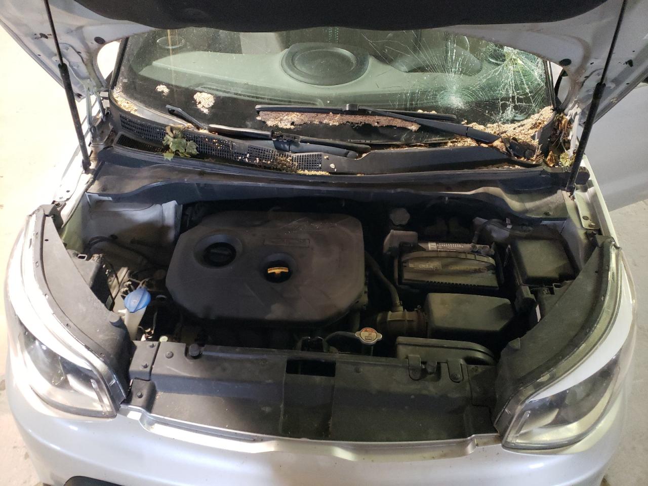 KNDJP3A51E7724161 2014 Kia Soul +