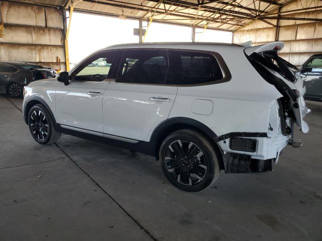 2023 Kia Telluride Sx VIN: 5XYP54GC3PG393052 Lot: 59713674