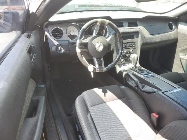 2013 Ford Mustang VIN: 1ZVBP8AM5D5206277 Lot: 59901474