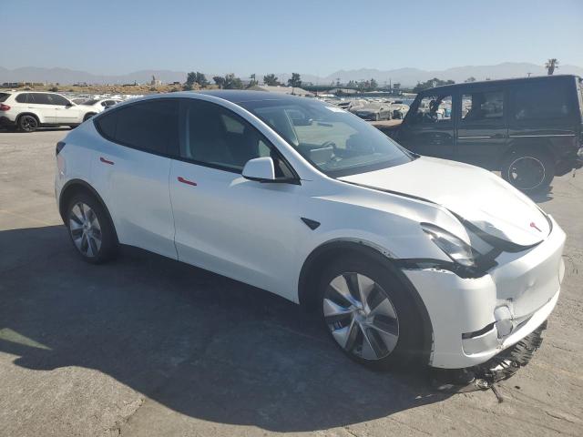 2023 TESLA MODEL Y - 7SAYGDEE8PA035410