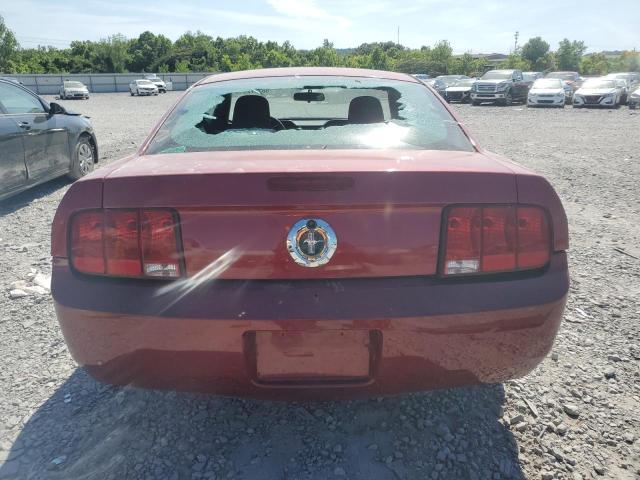 2008 Ford Mustang VIN: 1ZVHT80N785153751 Lot: 58337234