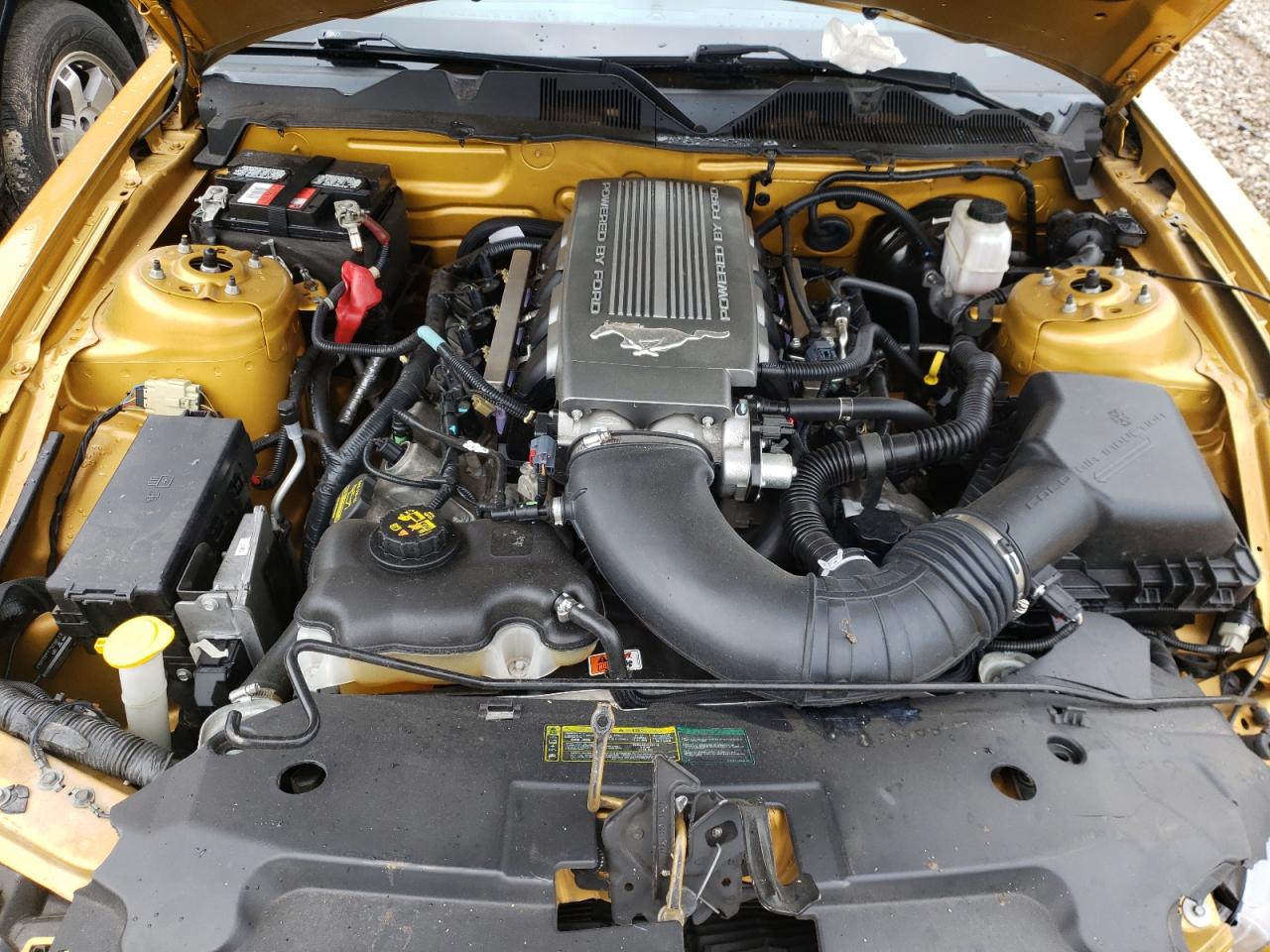 1ZVBP8CHXA5147383 2010 Ford Mustang Gt