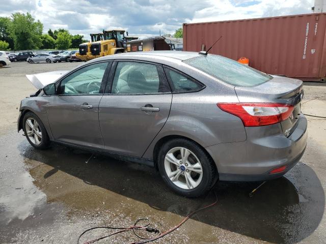 2014 Ford Focus Se VIN: 1FADP3F26EL338294 Lot: 58071304