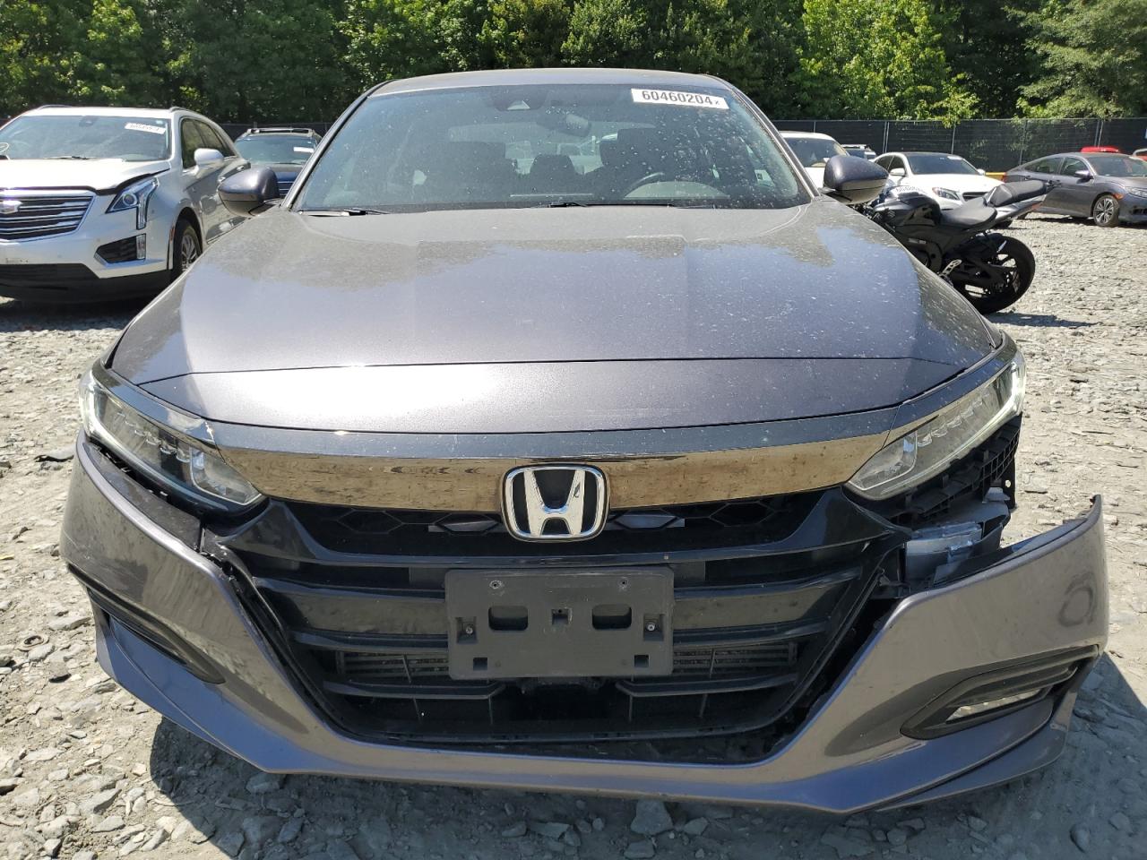 Lot #2741266701 2019 HONDA ACCORD SPO