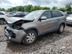 KIA SORENTO BA photo