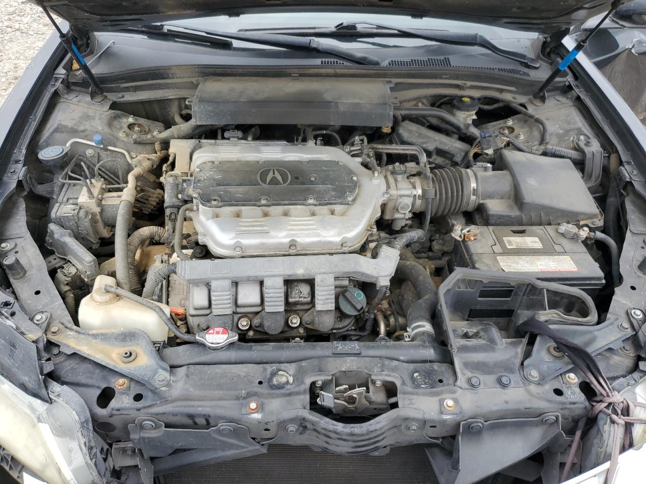 19UUA8F2XBA000205 2011 Acura Tl