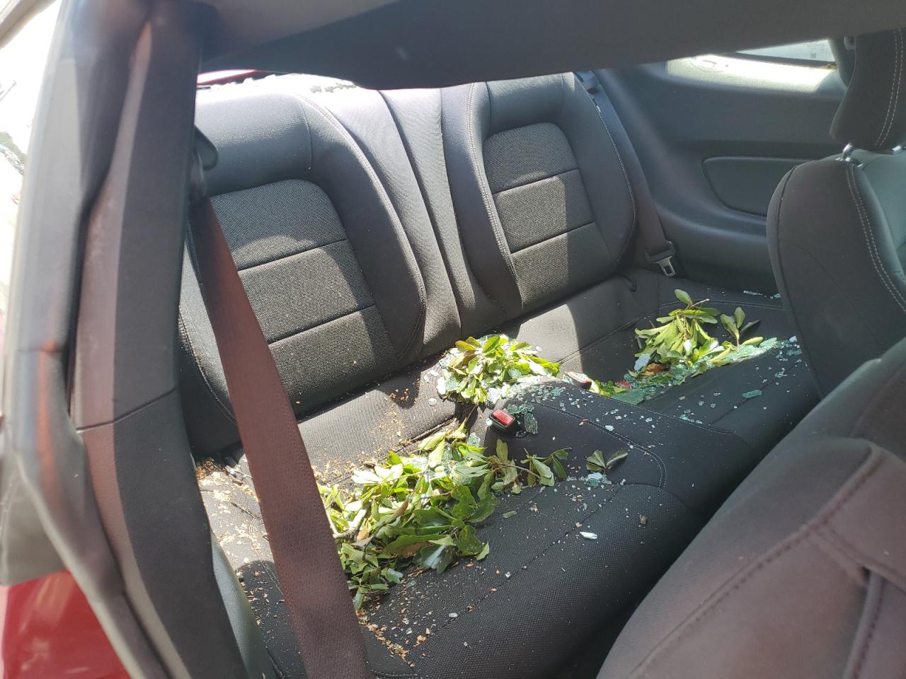 1FA6P8AM3F5399753 2015 Ford Mustang