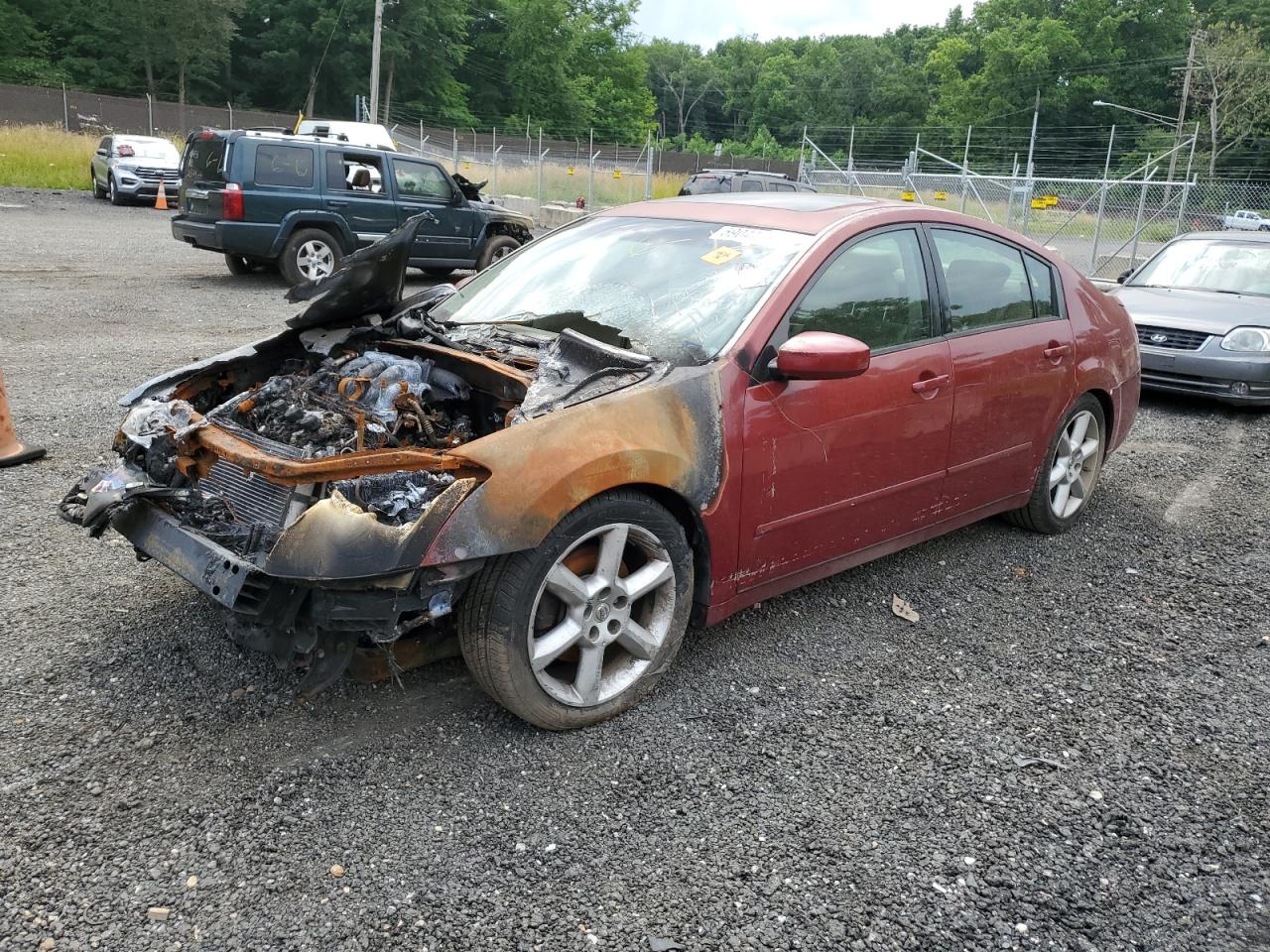 1N4BA41E26C812145 2006 Nissan Maxima Se