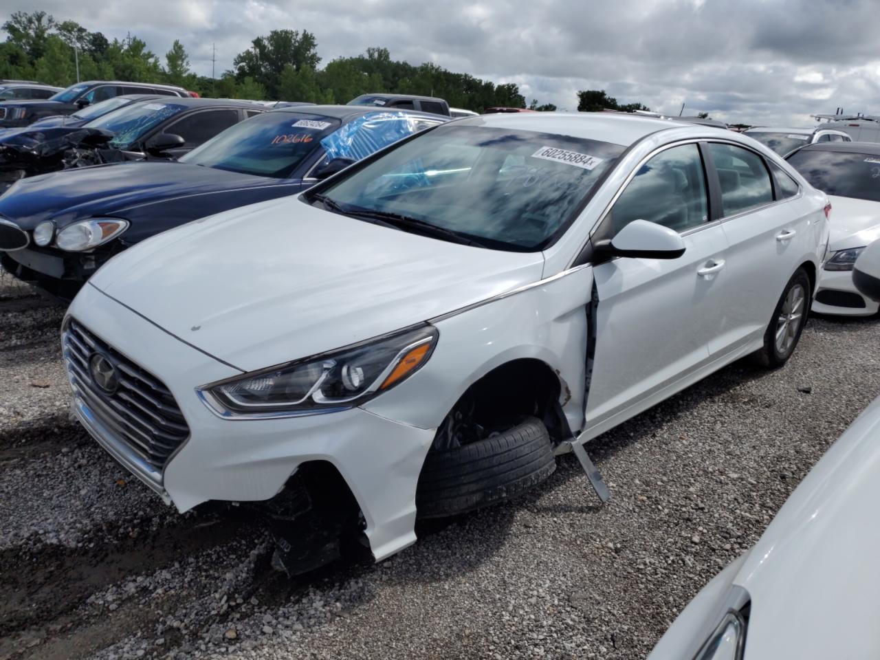 5NPE24AF5KH788239 2019 Hyundai Sonata Se