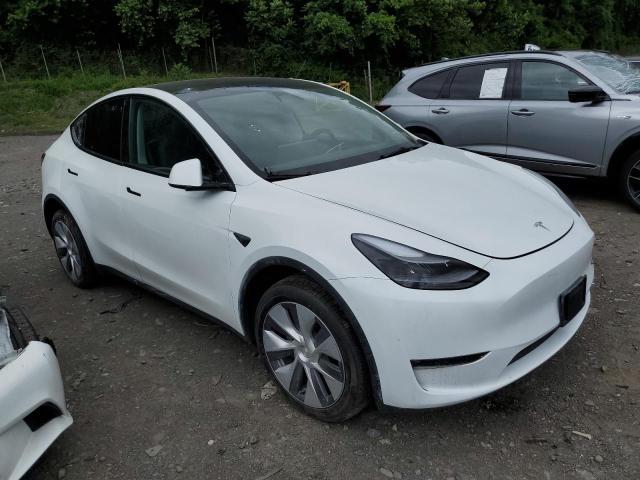 2023 Tesla Model Y VIN: 7SAYGDEE1PA177260 Lot: 60216314