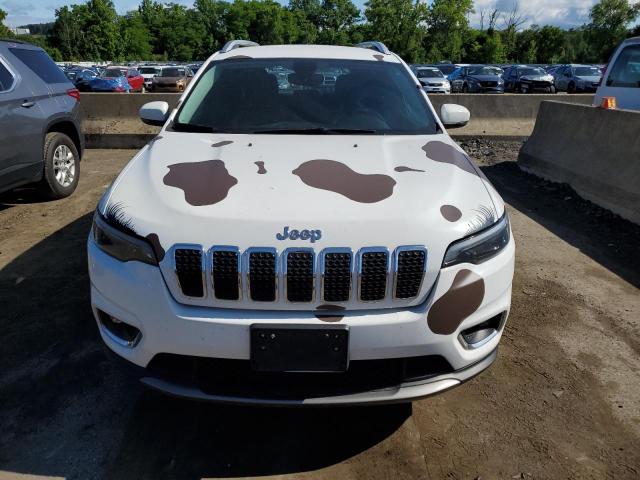 2019 Jeep Cherokee Limited VIN: 1C4PJMDX6KD360881 Lot: 58272194