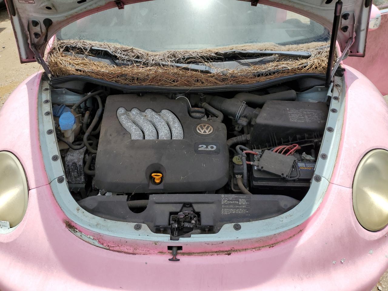 3VWCM31Y15M351623 2005 Volkswagen New Beetle Gls