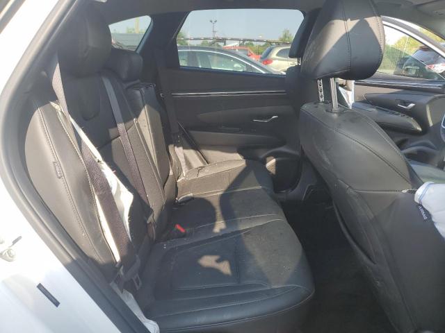 2024 HYUNDAI TUCSON SEL - 5NMJFCDEXRH398891