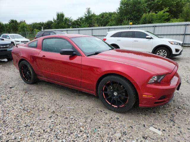 Vin: 1zvbp8am2d5267439, lot: 61307575, ford all models 20134