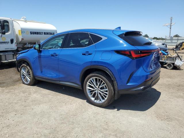 2025 LEXUS NX 350H BA - 2T2HKCEZ3SC032645