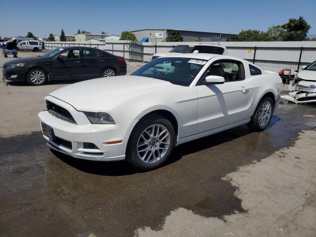 2013 FORD MUSTANG - 1ZVBP8AM3D5249841