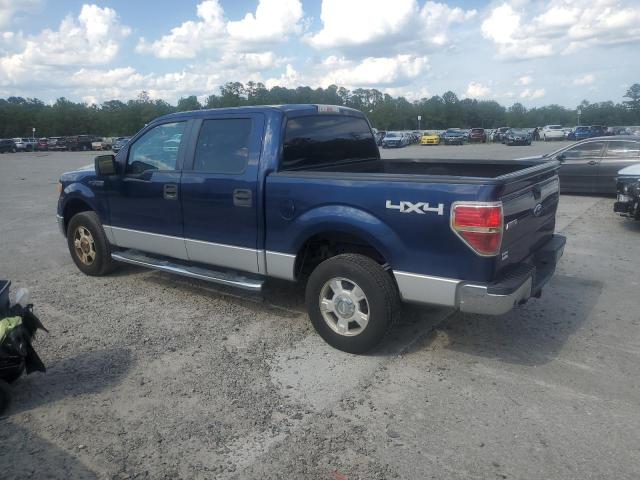 Vin: 1ftew1e89afd40450, lot: 61820365, ford f-150 supercrew 20102
