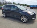 Lot #3296893819 2016 FORD ESCAPE TIT