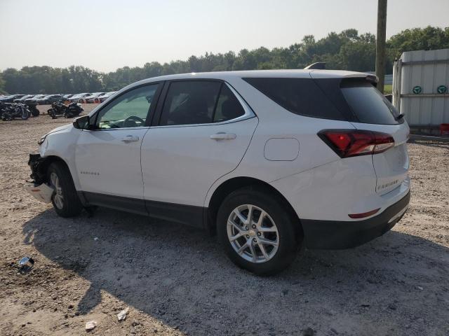 Vin: 3gnaxkegxpl254577, lot: 59233135, chevrolet equinox lt 20232