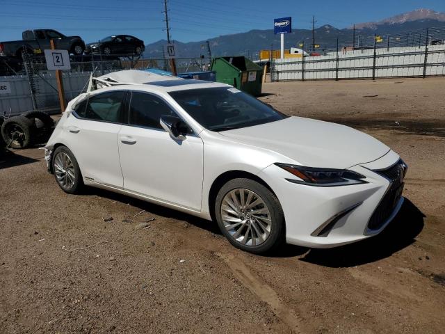 2021 LEXUS ES 300H LU 58AEA1C15MU007901