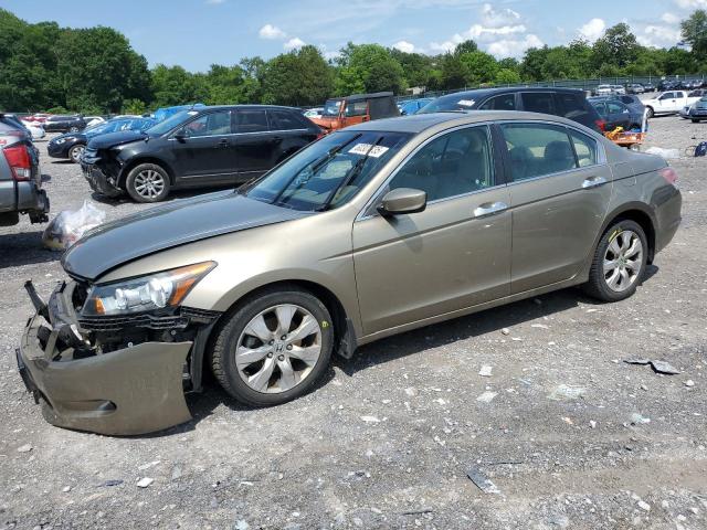 HONDA ACCORD EXL