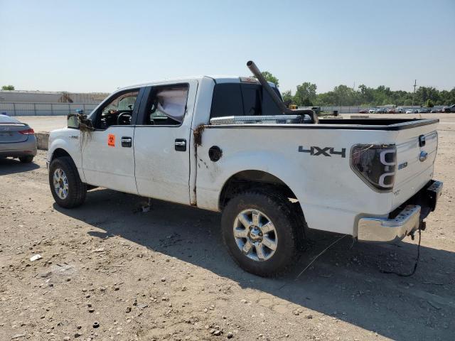 2013 FORD F150 SUPER - 1FTFW1EF3DKE17117